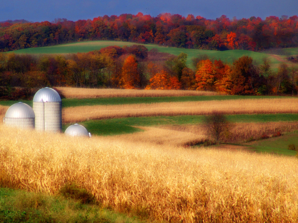 AUTUMN FARM SILOS