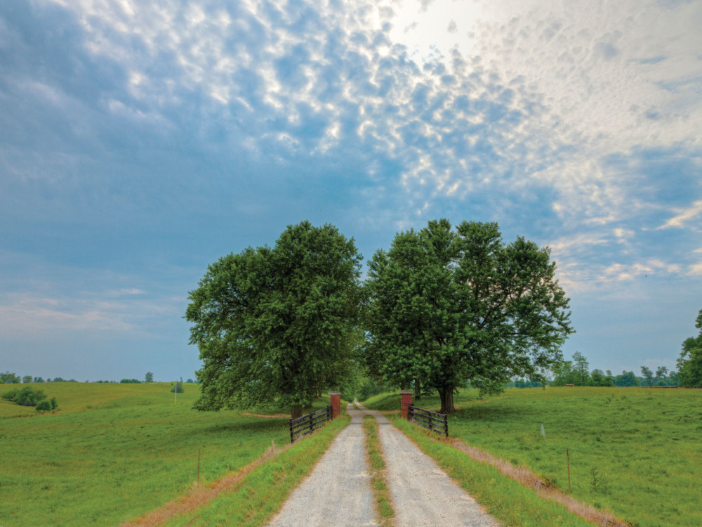 COUNTRY ROAD GATE