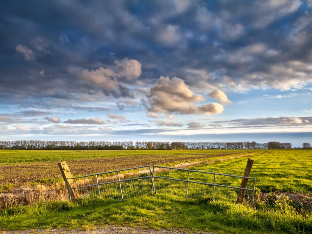 FARMLAND GATE