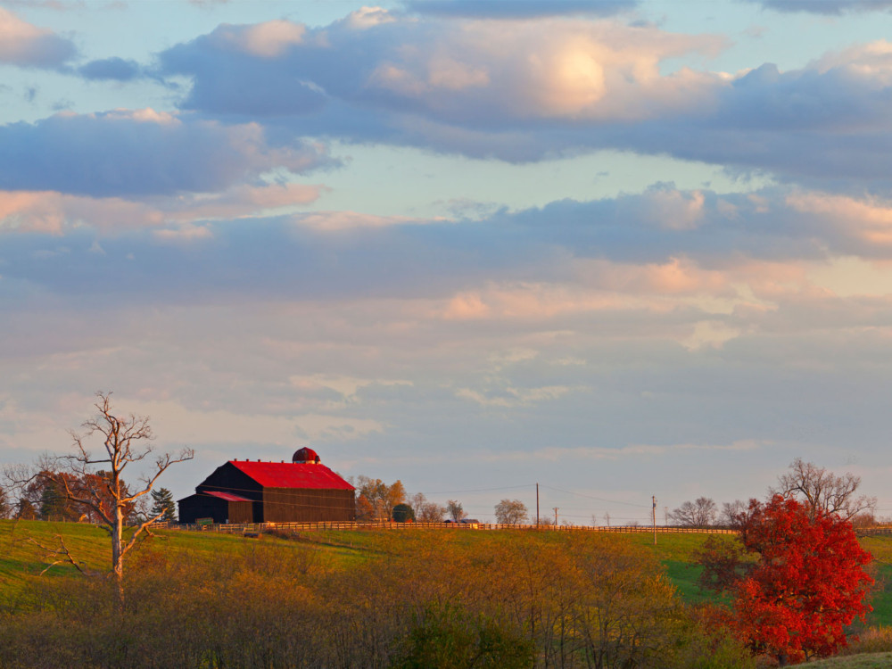 RED ROOF BARN IN EVENING