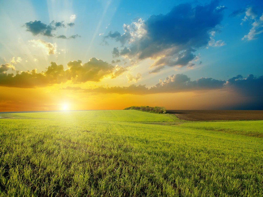 SUNRISE OVER FIELD