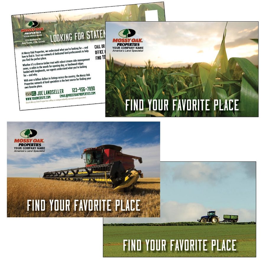 You'll make a big impression while you save big on these customizable postcards.