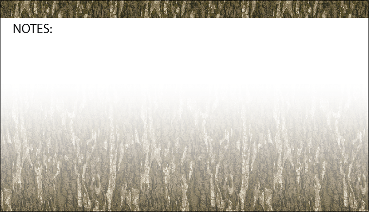 Notes with Bottomland