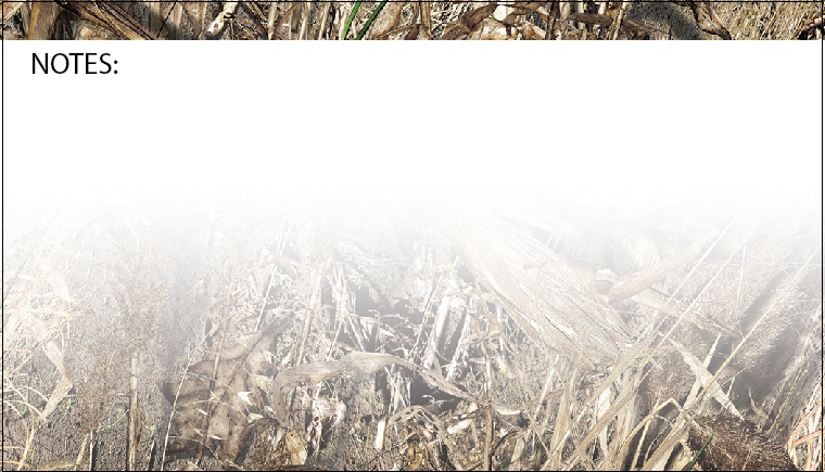 Notes with Duck Blind