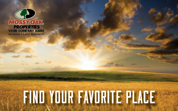 IN THE GOLDEN WHEAT FIELDS