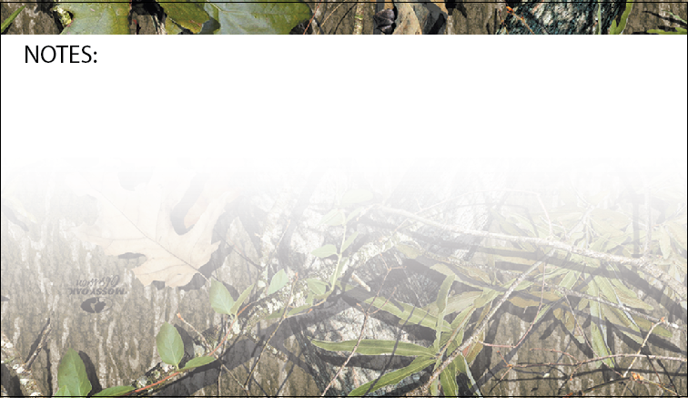 Notes with Obsession