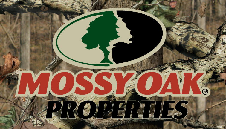 Break Up Infinity with Logo