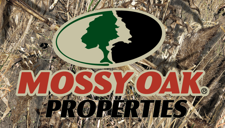 Duck Blind with Logo