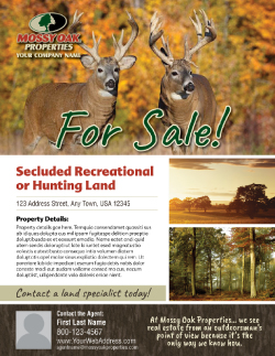 Rustic Large Photo with Pattern