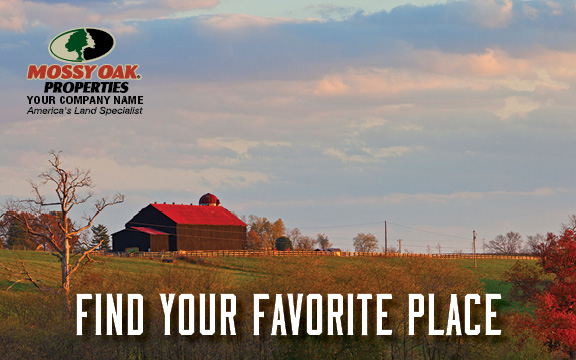 AT THE RED ROOF BARN