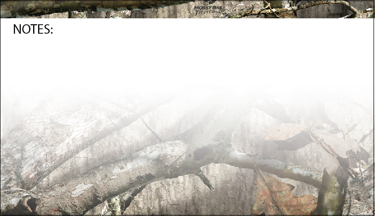 Notes with Treestand